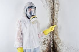 Best Water Damage & Mold Remediation  in Limestone, IL